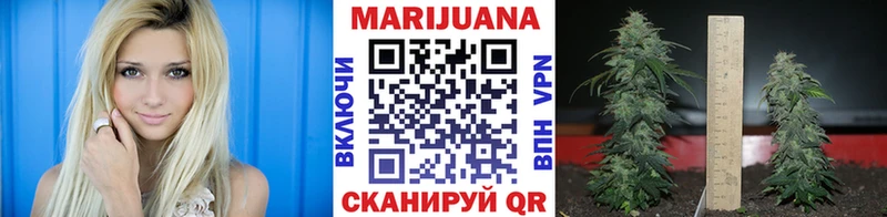 Купить наркотик аптеки Ильский hydra ССЫЛКА  АМФЕТАМИН  Cocaine  МЕТАМФЕТАМИН  Мефедрон  ГАШ  Канабис 