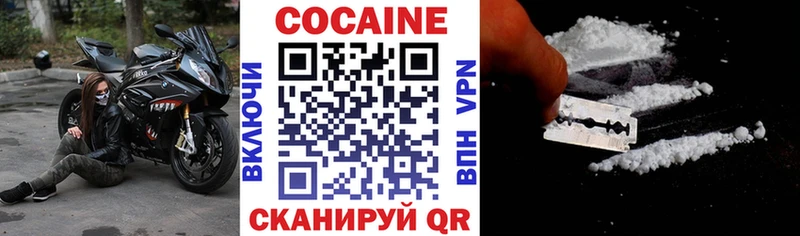 MEGA как войти  Ильский  Кокаин Fish Scale  купить наркотик 